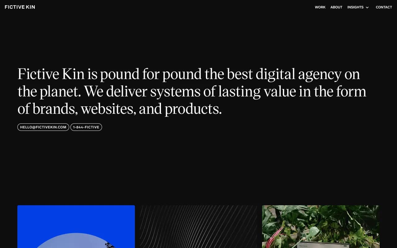 Screenshot of Fictive Kin