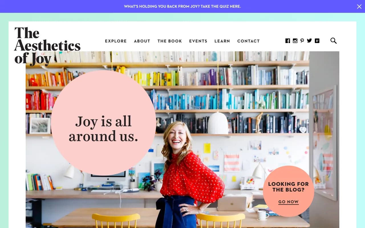 Screenshot of The Aesthetics of Joy